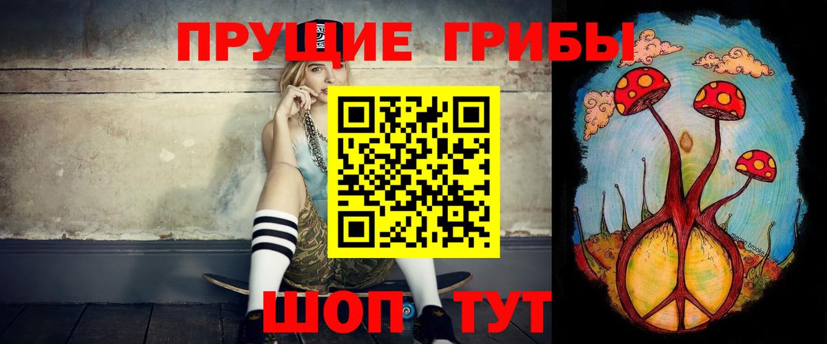 Донской  где найти наркотики  Вход с VPN  Псилоцибиновые грибы Cubensis 