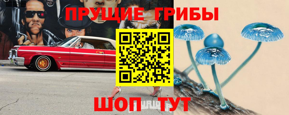 Галлюциногенные грибы Cubensis Донской